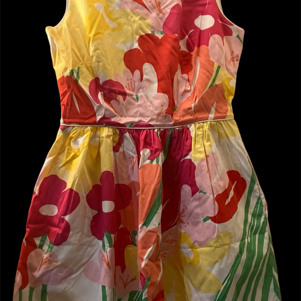Floral Lilly Pulitzer dress